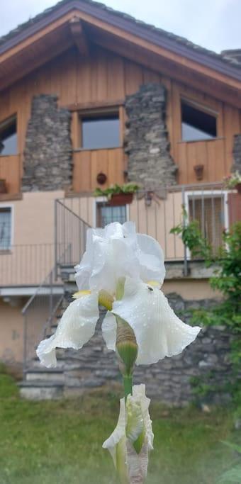 Valle D'Aosta A 360° - Ideal For Smart Working Aymavilles Bagian luar foto